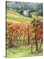Italy, Tuscany. Farm House and Vineyard in the Chianti Region-Julie Eggers-Stretched Canvas