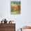 Italy, Tuscany. Farm House and Vineyard in the Chianti Region-Julie Eggers-Stretched Canvas displayed on a wall