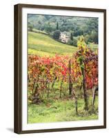 Italy, Tuscany. Farm House and Vineyard in the Chianti Region-Julie Eggers-Framed Premium Photographic Print