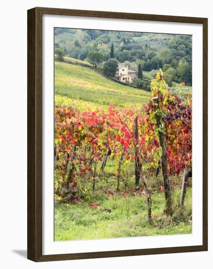 Italy, Tuscany. Farm House and Vineyard in the Chianti Region-Julie Eggers-Framed Premium Photographic Print