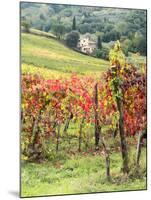 Italy, Tuscany. Farm House and Vineyard in the Chianti Region-Julie Eggers-Mounted Premium Photographic Print