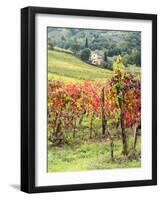 Italy, Tuscany. Farm House and Vineyard in the Chianti Region-Julie Eggers-Framed Photographic Print