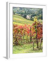 Italy, Tuscany. Farm House and Vineyard in the Chianti Region-Julie Eggers-Framed Photographic Print