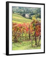 Italy, Tuscany. Farm House and Vineyard in the Chianti Region-Julie Eggers-Framed Photographic Print