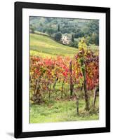 Italy, Tuscany. Farm House and Vineyard in the Chianti Region-Julie Eggers-Framed Photographic Print