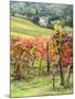 Italy, Tuscany. Farm House and Vineyard in the Chianti Region-Julie Eggers-Mounted Photographic Print