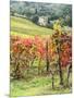 Italy, Tuscany. Farm House and Vineyard in the Chianti Region-Julie Eggers-Mounted Photographic Print