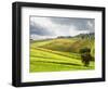 Italy, Tuscany. Farm House and Vineyard in the Chianti Region-Julie Eggers-Framed Photographic Print