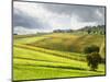 Italy, Tuscany. Farm House and Vineyard in the Chianti Region-Julie Eggers-Mounted Photographic Print