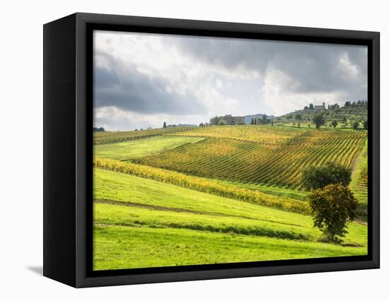 Italy, Tuscany. Farm House and Vineyard in the Chianti Region-Julie Eggers-Framed Stretched Canvas