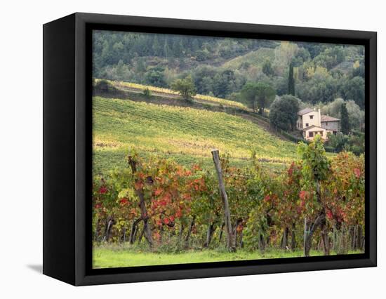Italy, Tuscany. Farm House and Vineyard in the Chianti Region-Julie Eggers-Framed Stretched Canvas