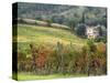 Italy, Tuscany. Farm House and Vineyard in the Chianti Region-Julie Eggers-Stretched Canvas