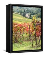 Italy, Tuscany. Farm House and Vineyard in the Chianti Region-Julie Eggers-Framed Stretched Canvas