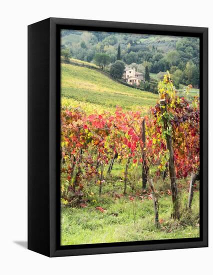 Italy, Tuscany. Farm House and Vineyard in the Chianti Region-Julie Eggers-Framed Stretched Canvas