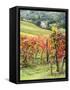 Italy, Tuscany. Farm House and Vineyard in the Chianti Region-Julie Eggers-Framed Stretched Canvas