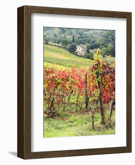 Italy, Tuscany. Farm House and Vineyard in the Chianti Region-Julie Eggers-Framed Photographic Print