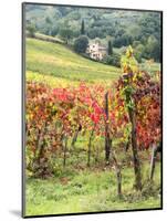 Italy, Tuscany. Farm House and Vineyard in the Chianti Region-Julie Eggers-Mounted Photographic Print