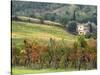 Italy, Tuscany. Farm House and Vineyard in the Chianti Region-Julie Eggers-Stretched Canvas