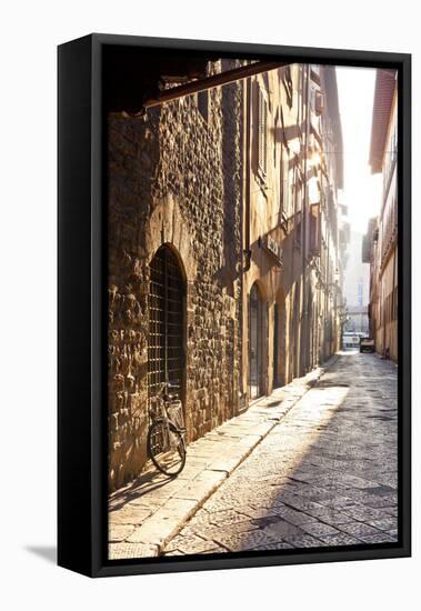 Italy, Tuscany, Firenze District. Florence, Firenze.-Francesco Iacobelli-Framed Stretched Canvas