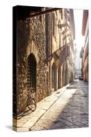 Italy, Tuscany, Firenze District. Florence, Firenze.-Francesco Iacobelli-Stretched Canvas
