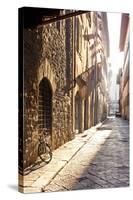 Italy, Tuscany, Firenze District. Florence, Firenze.-Francesco Iacobelli-Stretched Canvas