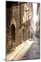 Italy, Tuscany, Firenze District. Florence, Firenze.-Francesco Iacobelli-Mounted Photographic Print