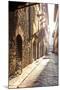 Italy, Tuscany, Firenze District. Florence, Firenze.-Francesco Iacobelli-Mounted Photographic Print