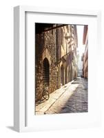 Italy, Tuscany, Firenze District. Florence, Firenze.-Francesco Iacobelli-Framed Photographic Print