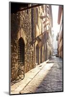 Italy, Tuscany, Firenze District. Florence, Firenze.-Francesco Iacobelli-Mounted Photographic Print