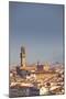 Italy, Tuscany, Florence. Palazzo Vecchio and Overview of Surroundings.-Ken Scicluna-Mounted Photographic Print