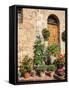 Italy, Tuscany. Flowers by House in the Medieval Town Monticchiello-Julie Eggers-Framed Stretched Canvas