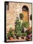 Italy, Tuscany. Flowers by House in the Medieval Town Monticchiello-Julie Eggers-Framed Stretched Canvas