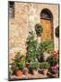 Italy, Tuscany. Flowers by House in the Medieval Town Monticchiello-Julie Eggers-Mounted Photographic Print