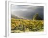 Italy, Tuscany. Fog Surrounding a Vineyard in the Chianti Region-Julie Eggers-Framed Photographic Print