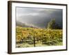 Italy, Tuscany. Fog Surrounding a Vineyard in the Chianti Region-Julie Eggers-Framed Photographic Print