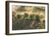 Italy, Tuscany, Fog Wafts Through Trees Below Montalcino-Brenda Tharp-Framed Photographic Print