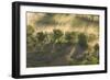 Italy, Tuscany, Fog Wafts Through Trees Below Montalcino-Brenda Tharp-Framed Photographic Print