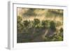 Italy, Tuscany, Fog Wafts Through Trees Below Montalcino-Brenda Tharp-Framed Photographic Print