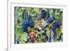 Italy, Tuscany. Grapes on the vine in a vineyard in Tuscany.-Julie Eggers-Framed Photographic Print