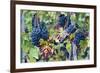 Italy, Tuscany. Grapes on the vine in a vineyard in Tuscany.-Julie Eggers-Framed Photographic Print