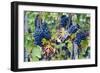 Italy, Tuscany. Grapes on the vine in a vineyard in Tuscany.-Julie Eggers-Framed Photographic Print