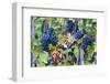 Italy, Tuscany. Grapes on the vine in a vineyard in Tuscany.-Julie Eggers-Framed Photographic Print