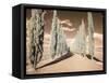 Italy, Tuscany. Infrared image of long row of cypress in Tuscany.-Terry Eggers-Framed Stretched Canvas