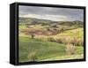 Italy, Tuscany. Landscape and the Town of San Quirico Dorcia-Julie Eggers-Framed Stretched Canvas