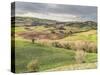 Italy, Tuscany. Landscape and the Town of San Quirico Dorcia-Julie Eggers-Stretched Canvas