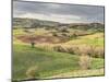 Italy, Tuscany. Landscape and the Town of San Quirico Dorcia-Julie Eggers-Mounted Photographic Print