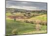 Italy, Tuscany. Landscape and the Town of San Quirico Dorcia-Julie Eggers-Mounted Photographic Print