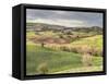 Italy, Tuscany. Landscape and the Town of San Quirico Dorcia-Julie Eggers-Framed Stretched Canvas