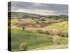 Italy, Tuscany. Landscape and the Town of San Quirico Dorcia-Julie Eggers-Stretched Canvas