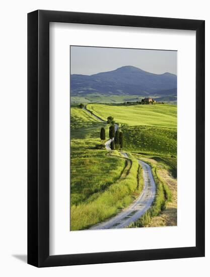 Italy, Tuscany. Landscape with villa-Jaynes Gallery-Framed Photographic Print